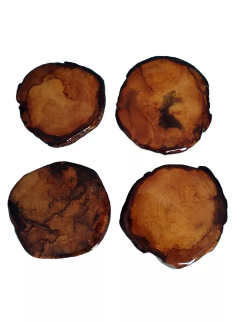 Four Stunning Polished Natural Wood Coasters