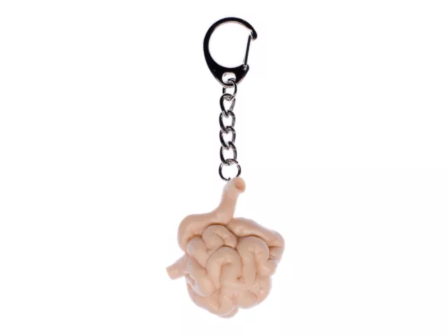 Dünndarm Keychain Miniblings Charm Key Ring Organ Bowels Anatomy