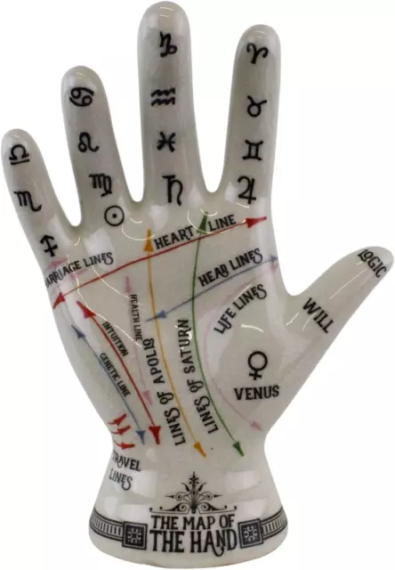 Oak Tree Temerity Jones Porcelain Crackle Phrenology Palmistry Hand Map of the H