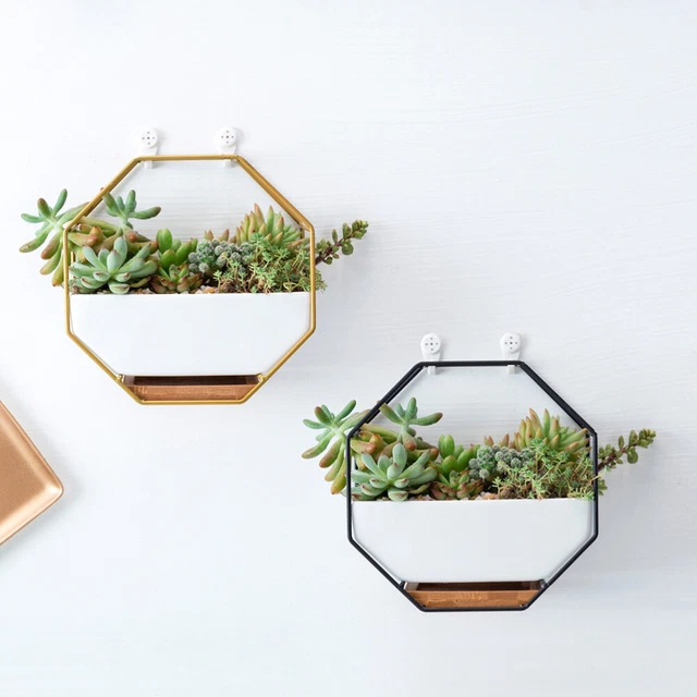 Geometric Plant Hanger Geometric Flower Pot Pot Glass Ceramics 3