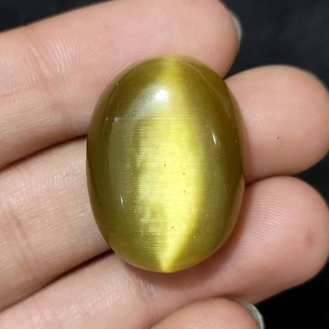 57.55 Cts Natural BI Color Cat's Eye  Cab Shape  Excellent  Gemstone