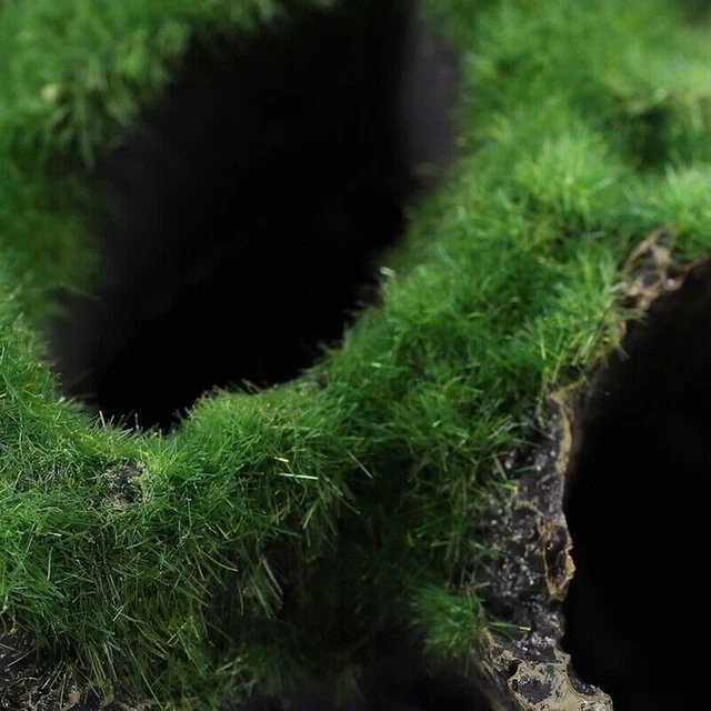 Acquario di lunga durata decorazione casa sull'albero grotta amanti del pesce dedicato resina verde 7