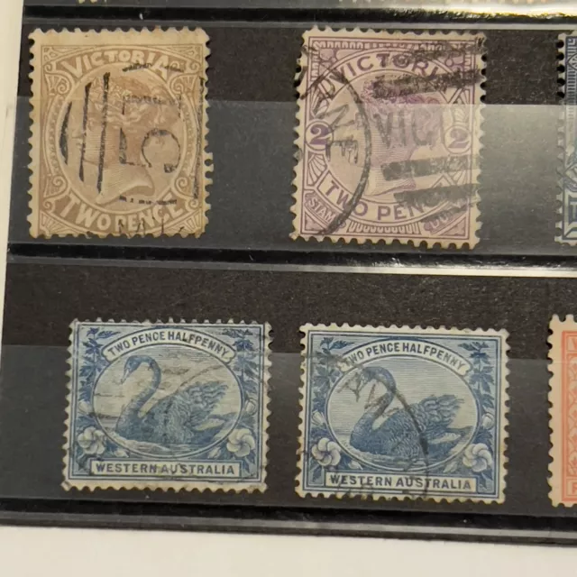 Early Western Australia Queensland And Victoria Stamp Lot Son Cancels Swans 2