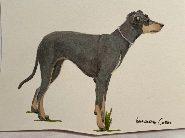 Manchester Terrier Original Watercolor by  Sandra Coen Standing