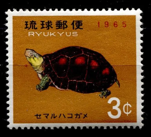 Schildkröten. Gelbrand-Dosenschildkröte. 1W. Riu-Kiu-Inseln 1965