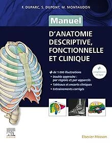 Selle Anatomique Voltaire Long Anatomic – Cuir – Taille 48 – Très Bon état
