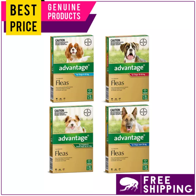 ADVANTAGE 6 Doses Flea Prevention Monthly for Dogs Shipping FREE