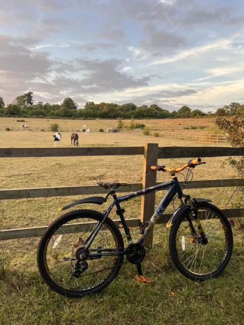 Apollo evade mountain bike review best sale