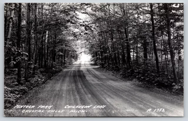 Crystal Falls Michigan~Pentoga Park~Chicaugon Lake~1950s RPPC