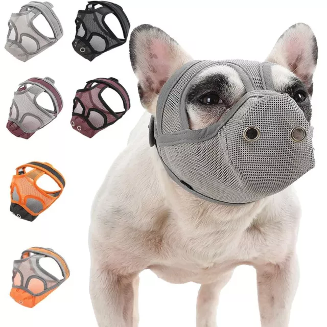 museau pour chien Maille de visage Bouledogue français Mâcher à mâcher