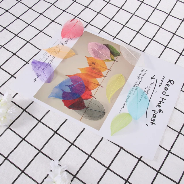 100 tarjetas de boda con hojas de esqueleto espécimen decorativo hojas artificiales