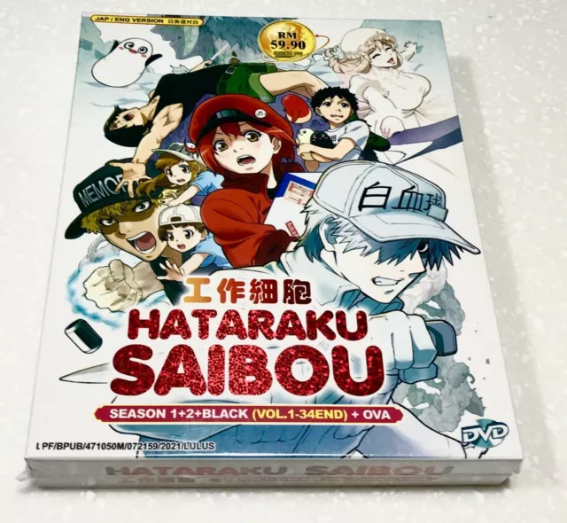 ENGLISH DUBBED Cells At Work: Hataraku Saibou SEASON 1&2 + BLACK (1-34 End)  +OVA