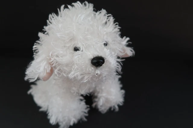 Webkinz shop bichon frise