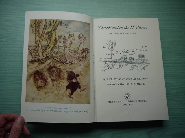 THE WIND IN THE WILLOWS by KENNETH GRAHAME & ARTHUR RACKHAM H/BACK 1972