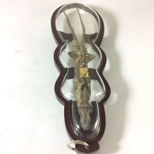 TWO TAILS GECKO LIZARD REPTILE Thai Amulet Occult Pendant Lucky Wealth Gambling