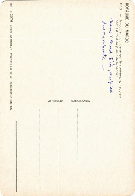 CPM AK Fez - Careless of the Pass that Contemplates It MOROC (880381) 2