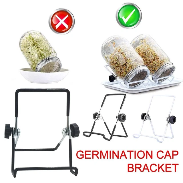 Strumento da cucina Mason supporto scaffale scaffale germogli supporto supporto vetro