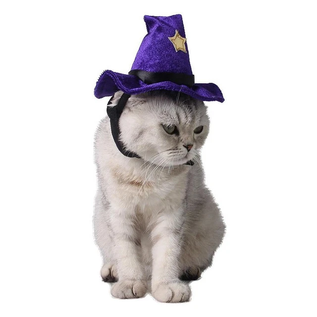 Gatto Cappello Cane Magia Divertente Halloween  Costume