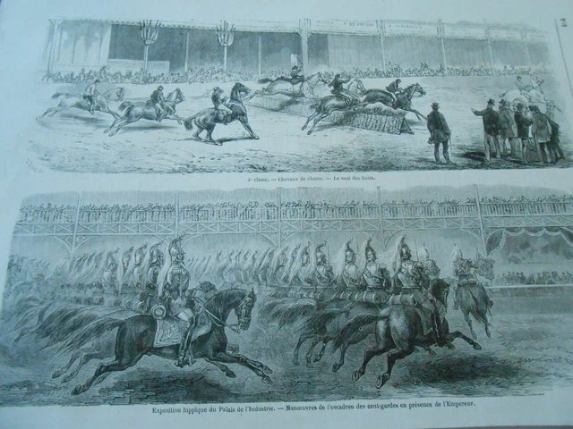 Gravure Ancienne Chevaux De Races Communes - 1882 - Original - Equitation