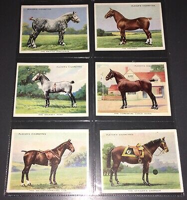 (6) 1939 Players Large "Types Of Horses" Cigarette Cards ~Hackney+Cob+Charger++