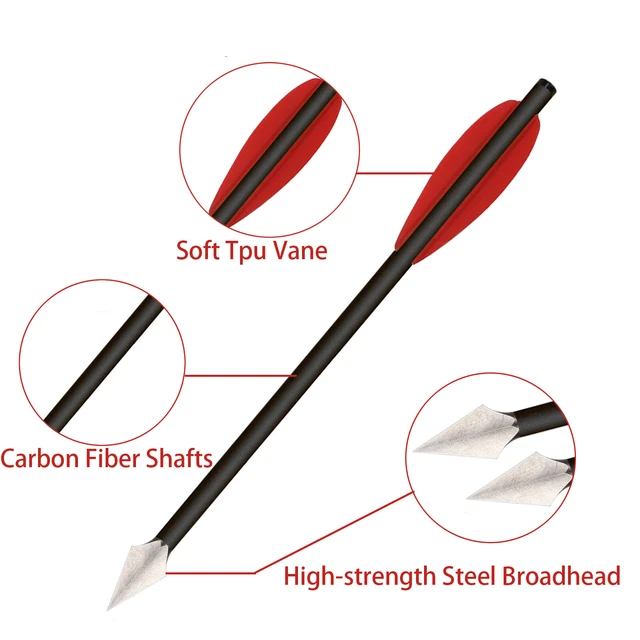 Carbon Armbrustbolzen 7 Zoll - Mit Broadhead Spitzen