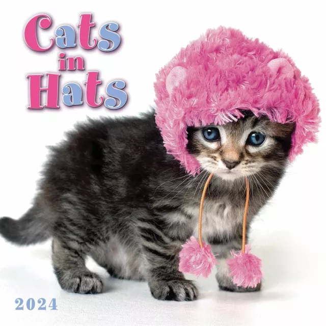 Cats In Hats Mini Calendar 2024 - Humour - Month To View
