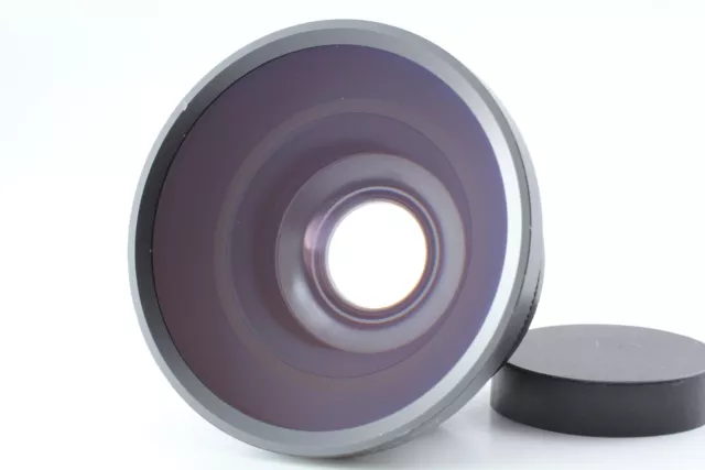 [Near MINT] Raynox pro semi fish-eye conversion lens 0.3x  From JAPAN