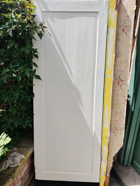 Reclaimed Pair of Victorian Cupboard Doors 7