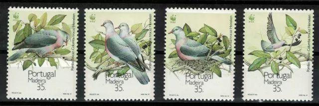 Madeira 1991 - Portugal _ WWF - Fauna - Birds _ MNH**