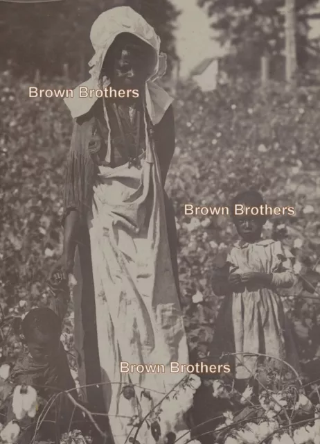 1900s AK Black Share Cropper Tired Mother & Children Pick Cotton Mounted Photo 1900s AK Black Share Cropper Tired Mother & Children Pick Cotton Mounted Photo