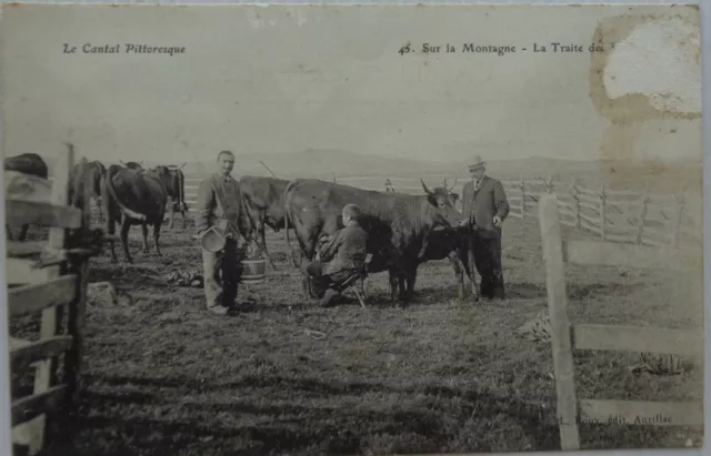 15 cpa le Cantal Pittoresque sur la Montagne la Traite des Vaches Bon Etat 1910