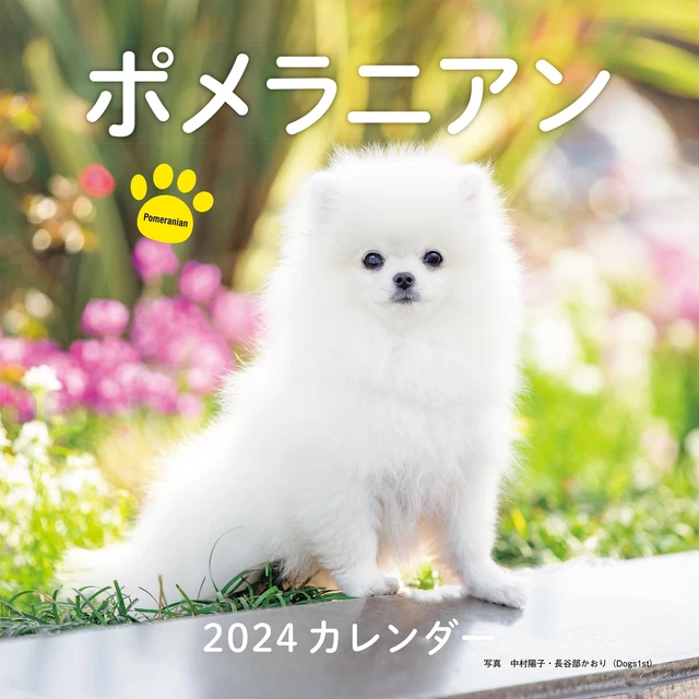 2024 CALENDAR POMERANIAN (Seibundo Shinkosha calendar) £25.23 PicClick UK