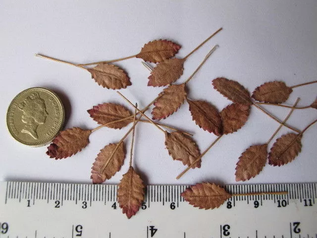 10 Small Rose Leaves Autumn Brown Wire Stem Mulberry Paper Craft Flower R1B #1