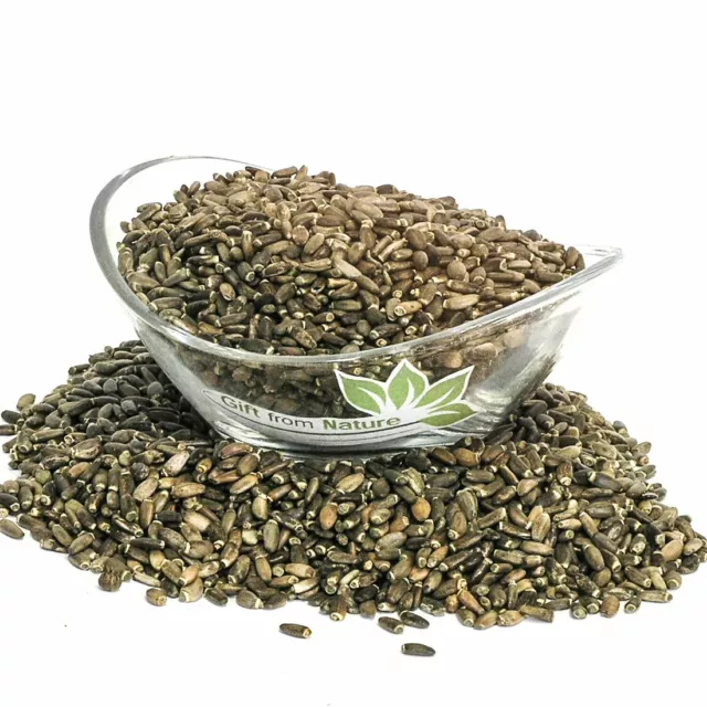 MILK THISTLE Seeds Dried ORGANIC Bulk Spice,Silybum marianum Semens