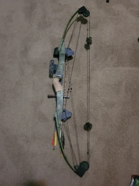 Vintage Bear compound bow