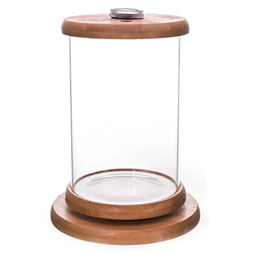 Balacoo Betta Fish Tank with LED Lighting 360 Degree View Clear Glass Cylinde...