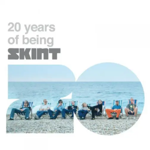 Various Artists 20 Years of Being Skint (Vinyl) 12" Album Box Set