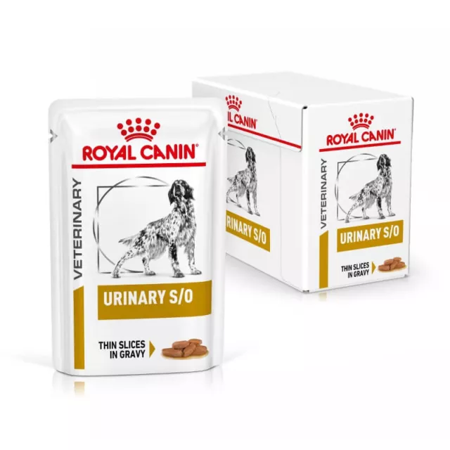 24 x 100g Royal Canin Dog Urinary S/O Beutel Veterinary Hundefutter