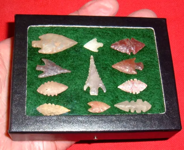 (11) Exceptional Assorted Neolithic Points W/CASE, Prehistoric African Artifacts