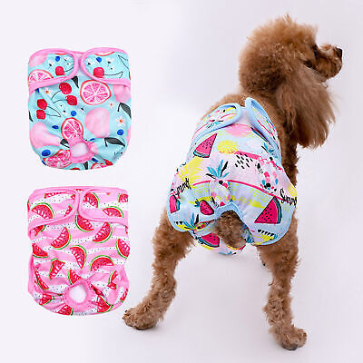 Pantalones menstruales para mascotas diseño de banda elástica antiinfección estampado de frutas de dibujos animados