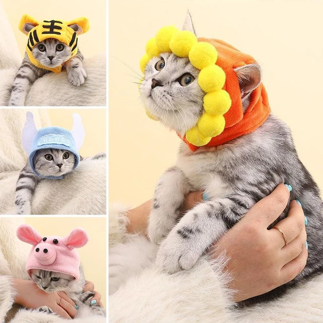 chien Coiffures pour animaux de compagnie Casquette pour animaux de compagnie