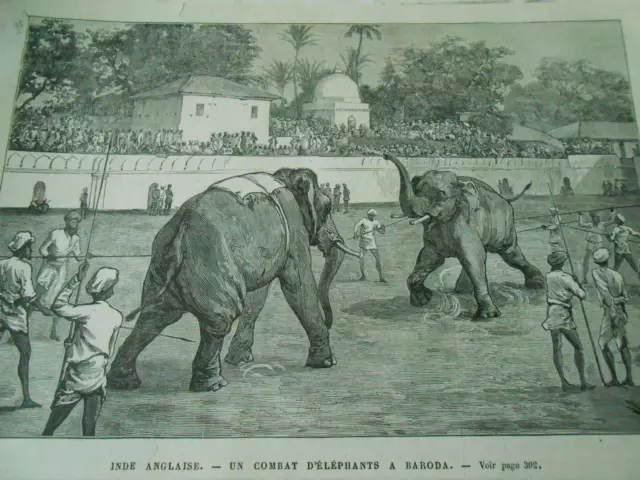 Gravure 1880 - Inde Anglaise un combat d'éléphants à Baroda