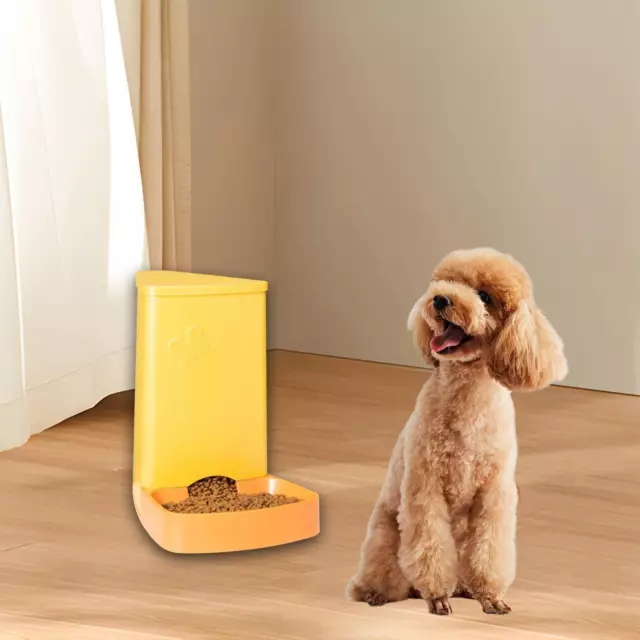 Distributeur automatique de nourriture pour chiens et chats, mangeoire