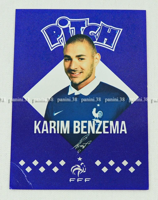 LOT 2 CARTES PANINI FOOT 2009 CHAMPIONNAT DE FRANCE - LYON