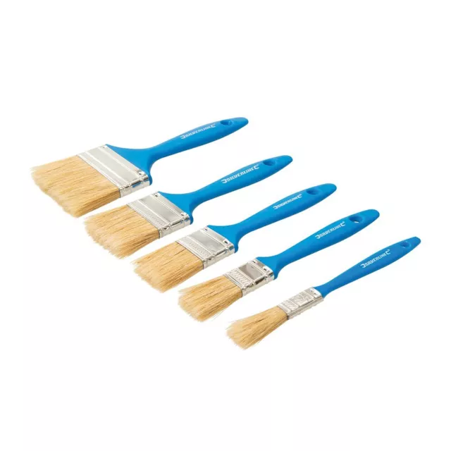 Silverline 314733 Jetable Peinture Brosse Set