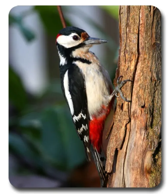 Great Spotted Woodpecker ~ Mouse Pad / Mousepad ~ Watching Feeder Birding Gift