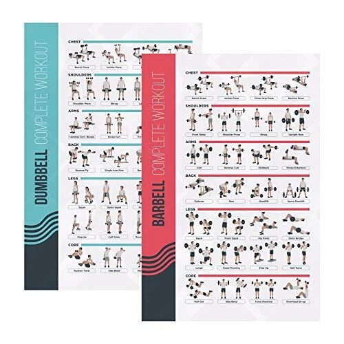 FitMate Dumbbell and Barbell Workout Exercise Poster, 2-Pack, 16.5 x 25 Inch