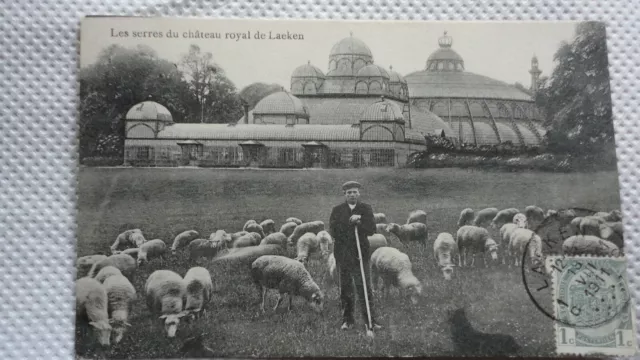 CPA BELGIQUE - Les Serres du Château Royal de Laeken