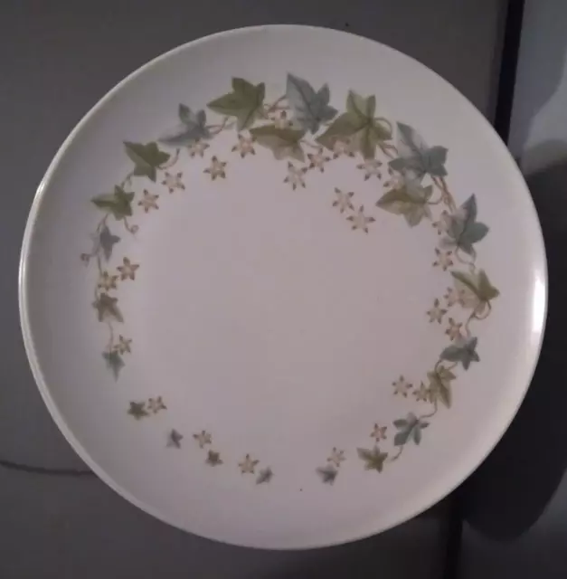 VNT Retro Boonton Ware Somerset IVY Pattern Dinner Plates 27 Pieces  Made in USA