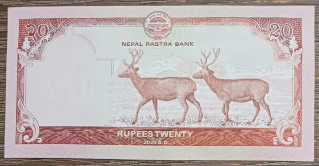 🇳🇵 Nepal- 2020 - 20 Rupees - 8E9890 - Banknote Uncirculated